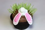 bunny fell in the dirt and grass or is hiding because it's almost Easter, maybe he is shy!