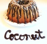 chocolate coconut friendship bread