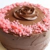 Strawberry cake-chocolate buttercream frosting