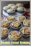 Coconut frosted brownies