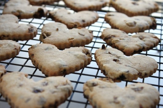 cinnamon raisin cut out cookie recipe
