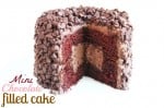 mini chocolate filled cake using Wilton Tasty Fill Mini Cake Pan Set