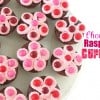 Chocolate Raspberry Cupcakes @createdbydiane
