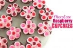 Chocolate Raspberry Cupcakes @createdbydiane