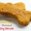 Pumpkin Peanut Butter Oatmeal Dog Biscuits from @createdbydiane