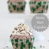 Mocha Mint Cupcakes @createdbydiane.jpg