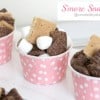 Smore-Snackin @createdbydiane.jpg-530x353