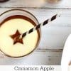 Cinnamon Apple Hard Cider Cocktail @createdbydiane
