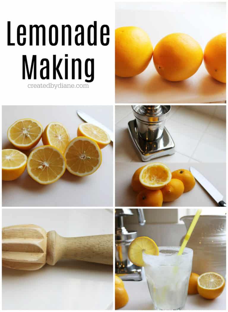 Easy Lemonade Recipe Created by Diane