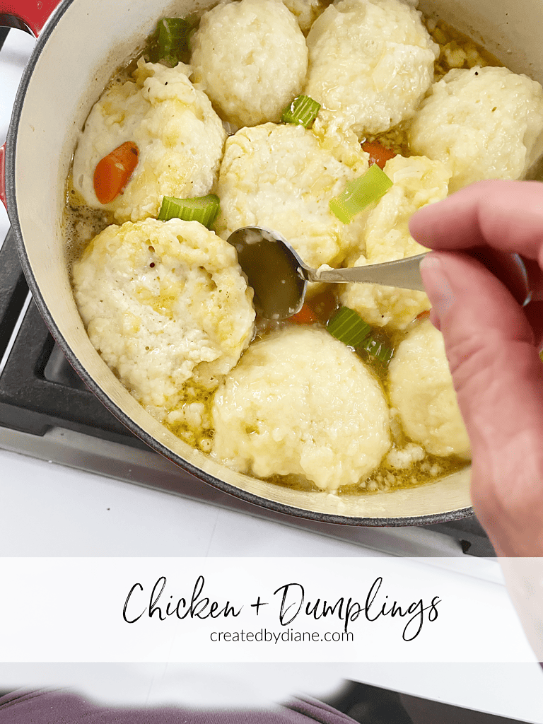 pot with fluffy dumplings chicken, broth, carrot, celery
