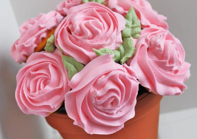 pink potted rose cupcakes bouquet