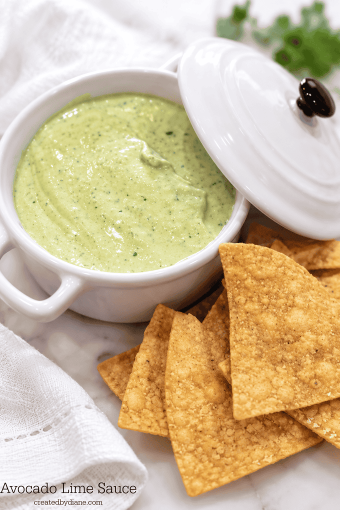 How to Make Avocado Sauce Recipe