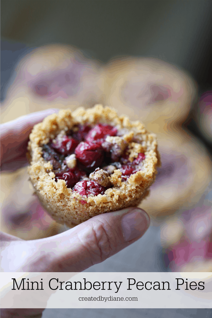 Mini Cranberry Pecan Pies createdbydiane.com