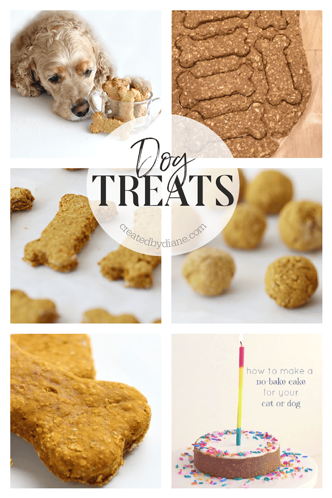 dog treat recipe