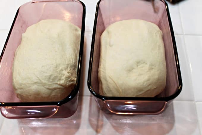 bread in loaf pans