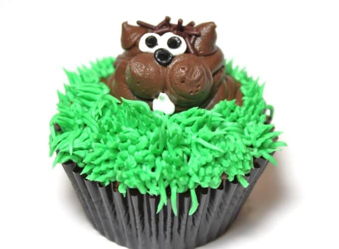 ground hog day cupcakes