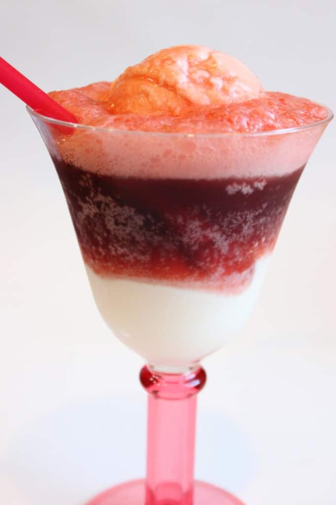 Cheerwine Ice Cream Soda Float | Created by Diane