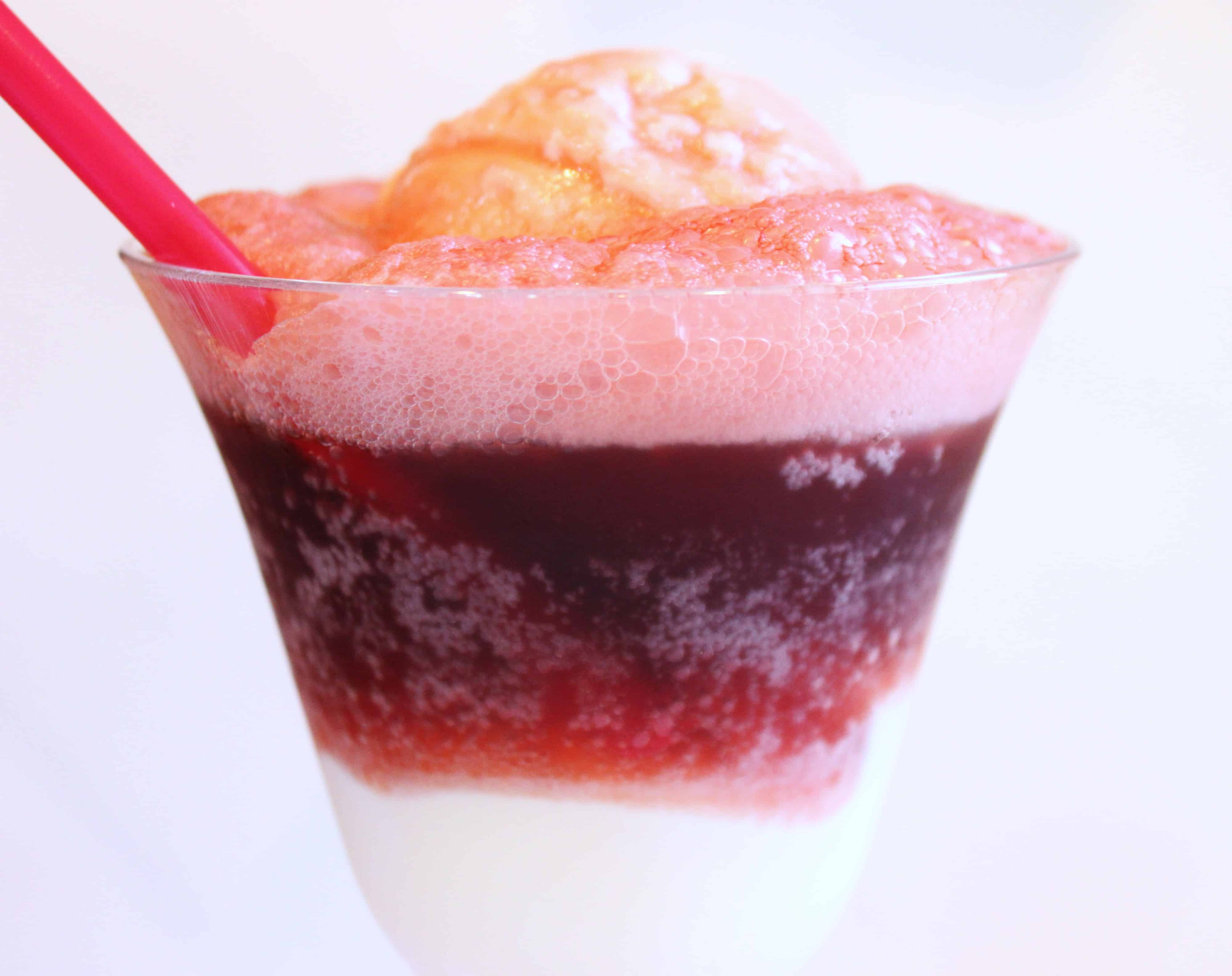 Cheerwine Ice Cream Soda Float