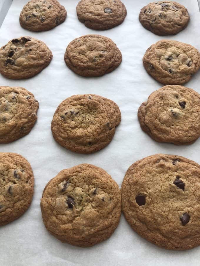 chocolate chip cookies