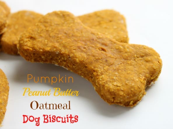 peanut butter and oatmeal dog treats