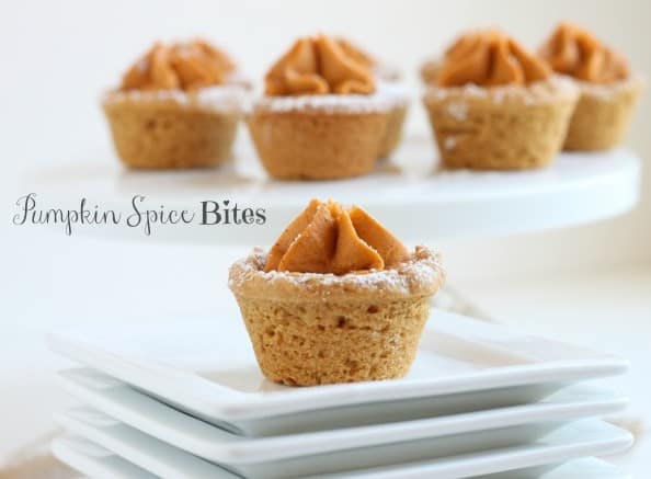 Pumpkin Spice Bites