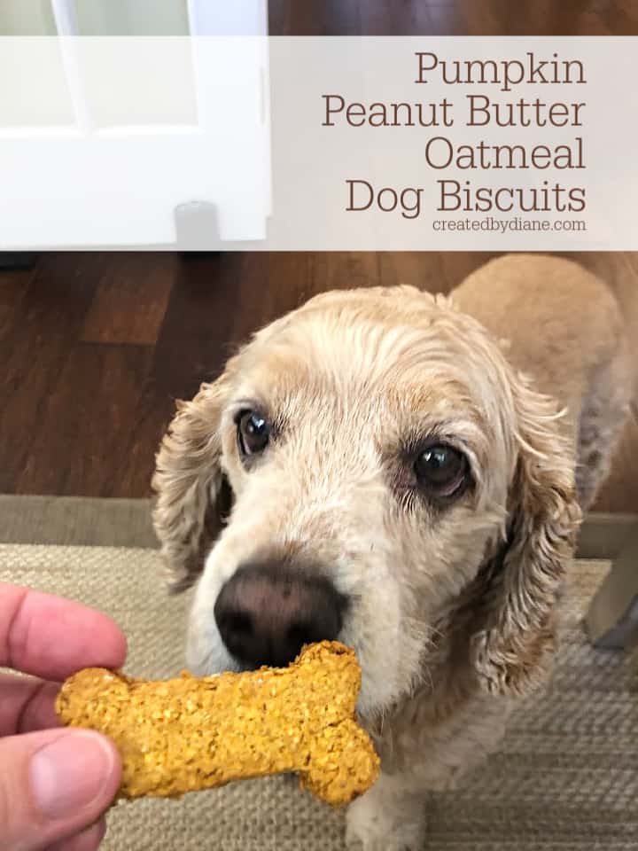 Pumpkin Peanut Butter Oatmeal Dog Biscuit Created by Diane