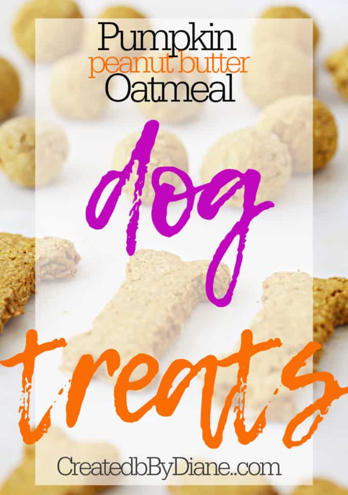 the BEST dog treats createdbydiane.com