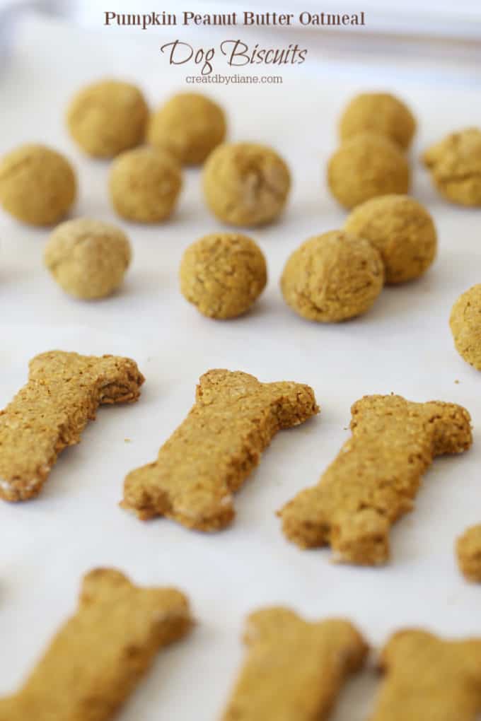 dog treats (gluten free) oatmeal pumpkin peanut butter baked treatsJPG