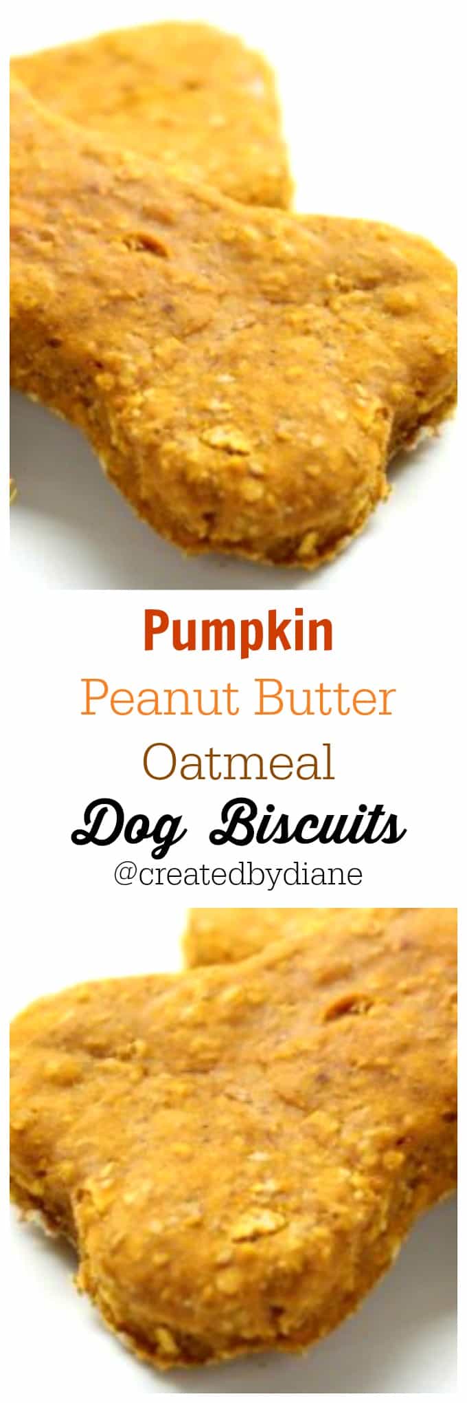 pumpkin peanut butter oatmeal dog biscuits @createdbydiane