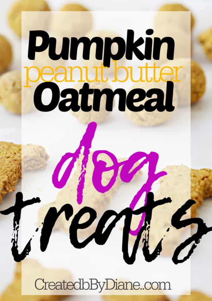 pumpkin peanut butter oatmeal dog treat cookie recipe createdbydiane.com