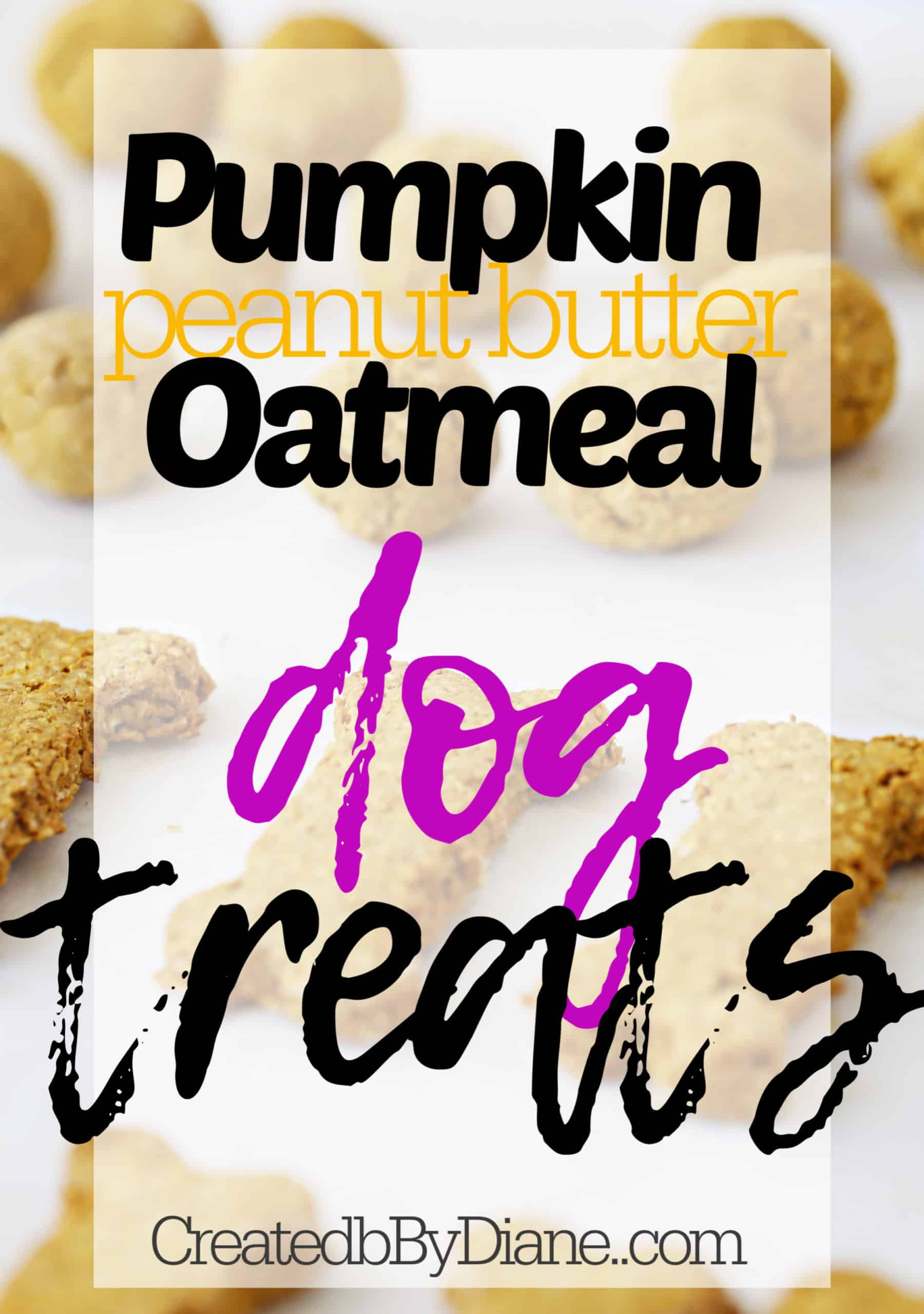 Pumpkin Peanut Butter Oatmeal Dog Biscuit Created by Diane