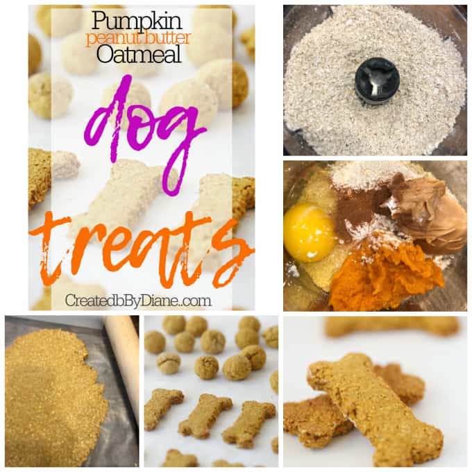 the BEST dog treats createdbydiane.com