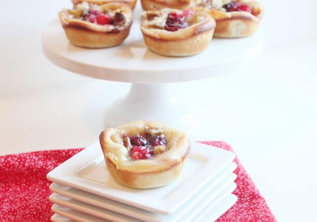 Cranberry Brie and Walnut Pizza Bites | Created by Diane