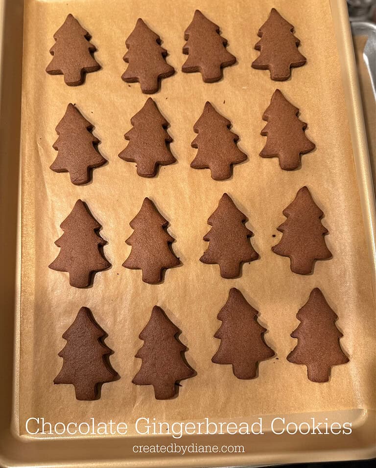 BAKED chocolate gingerbread cut out NO SPREAD Christmas COOKIES