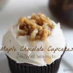 maple chocolate cupcakes with wet walnuts