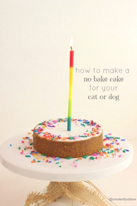 No bake cake for Cats and Dogs @createdbydiane