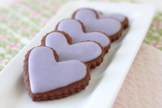 chocolate cut out cookies.jpg