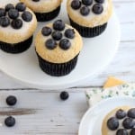 Chocolate Blueberry Cheesecake Cupcakes @createdbydiane