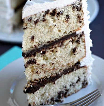 Chocolate Chip Cake @createdbydiane