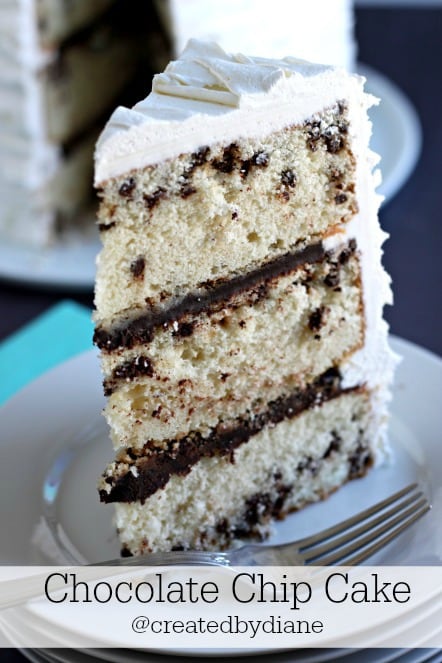 Chocolate Chip Cake