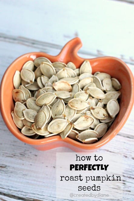 how to perfectly roast pumpkin seeds