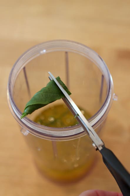 cutting basil with scissors.jpg