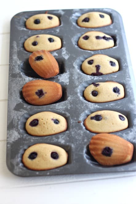 baked Madeleine Scones