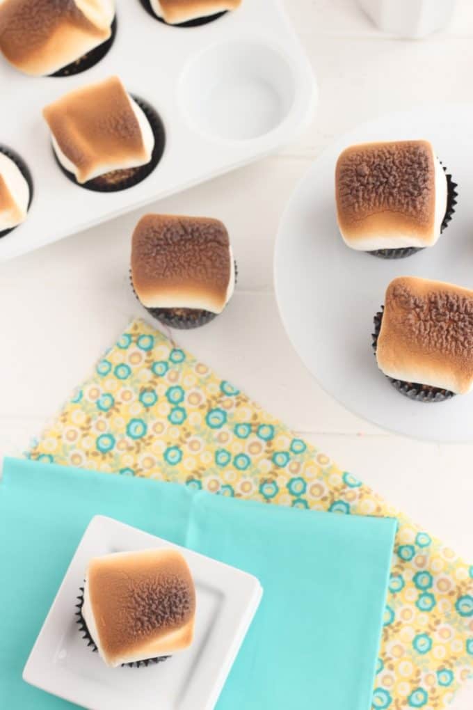 s'mores cupcakes, with big toasted marshmallows on top, really delicious