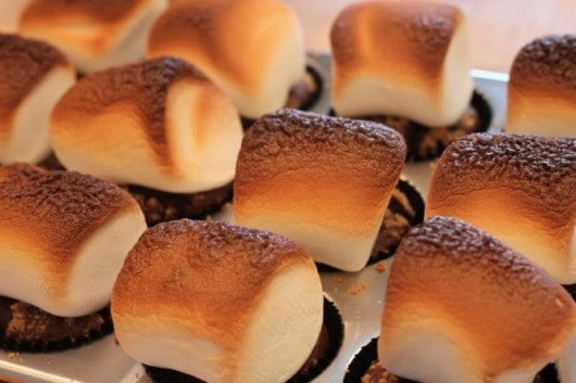 smore cupcakes with giant marshmallows toasted under broiler