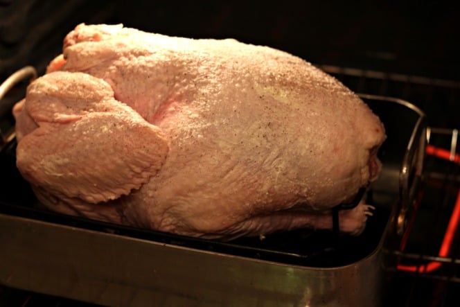 how to slow roast a turkey