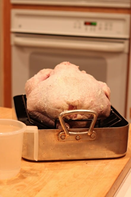 preparing to roast a turkey