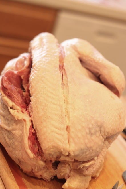 cutting the backbone out of a turkey
