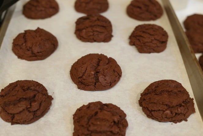 cookies hot out of the oven