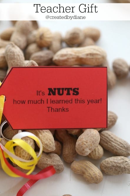 teacher gift @createdbydiane with PRINTABLE It's NUTS how much I learned this year!